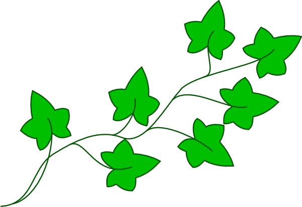 600x410 Ivy Vine Clip Art At Clker Com Vector Clip Art Online Royalty Free