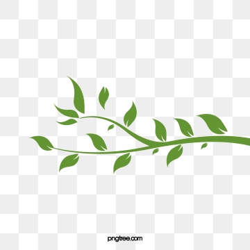 360x360 Vine Leaves Png, Vector, And Clipart With Transparent