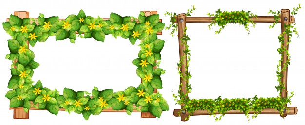 626x257 Vine Vectors, Photos And Free Download