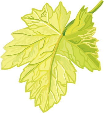 338x368 Grape Leaf Vector Free Vector Download