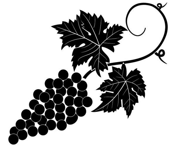 600x502 Grapevine Vector Image Grape Vine Art Desenler Ve