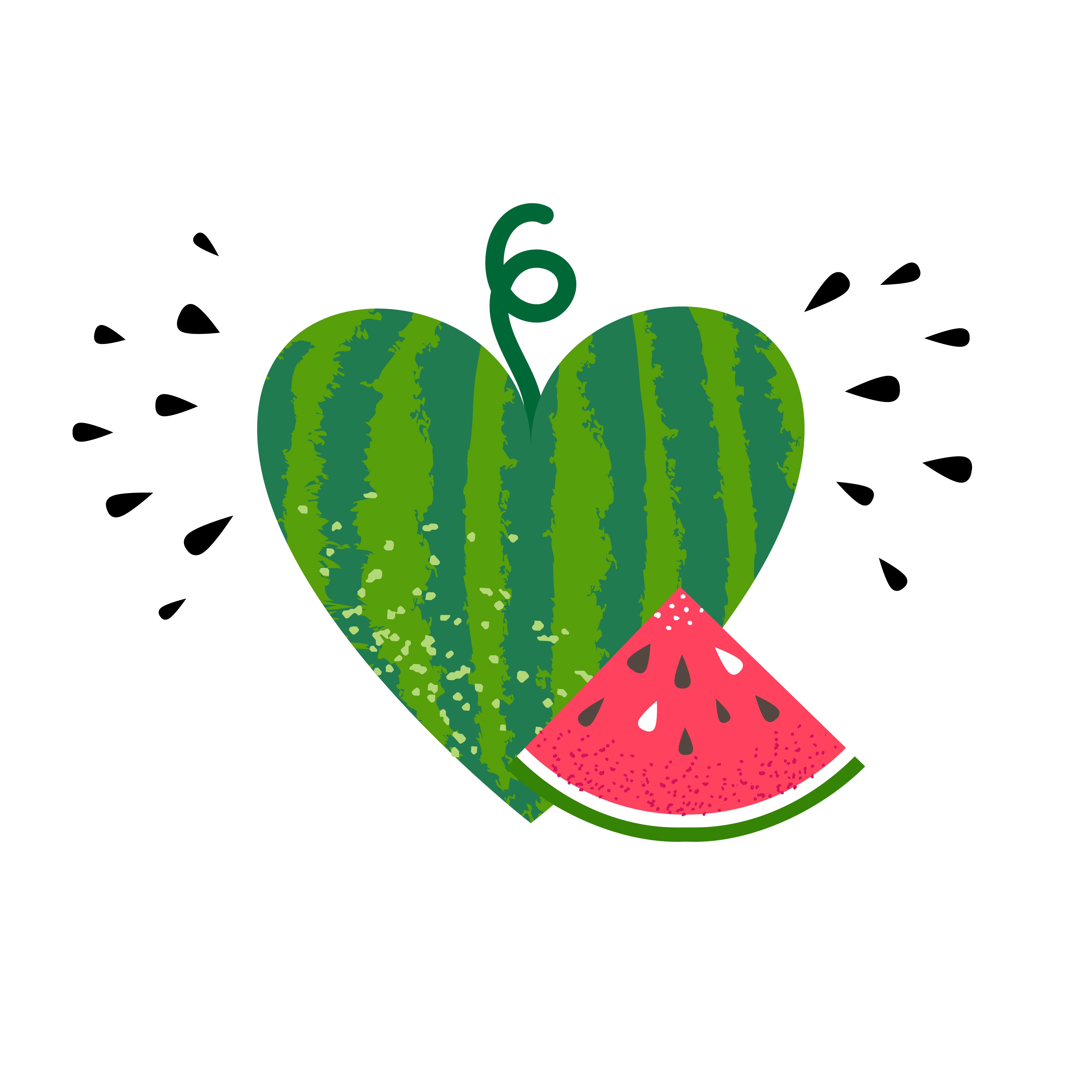 4269x4270 Vector Watermelon Isolated On White Background Summer Fruit Whole