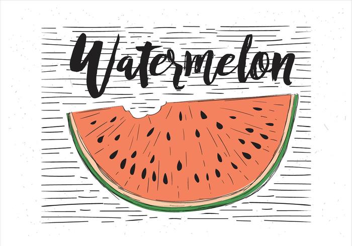 700x490 Watermelon Free Vector Art