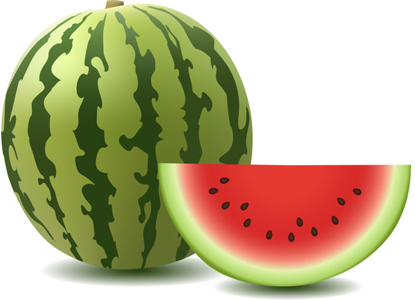 600x434 Watermelon Clip Art