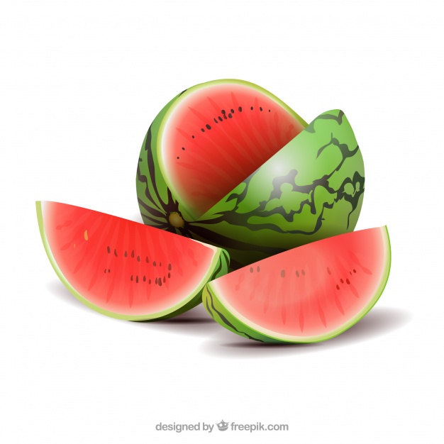 626x626 Watermelon In Realistic Style Vector Free Download
