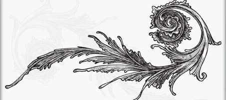 453x200 Victorian Vector Ornaments Embellishments Victorian Frame