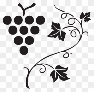 Grapes Vine Clipart Images, Vector Clipart, Multiple 320x315 Grapes Vine Clipart Images, Vector Clipart, Multiple