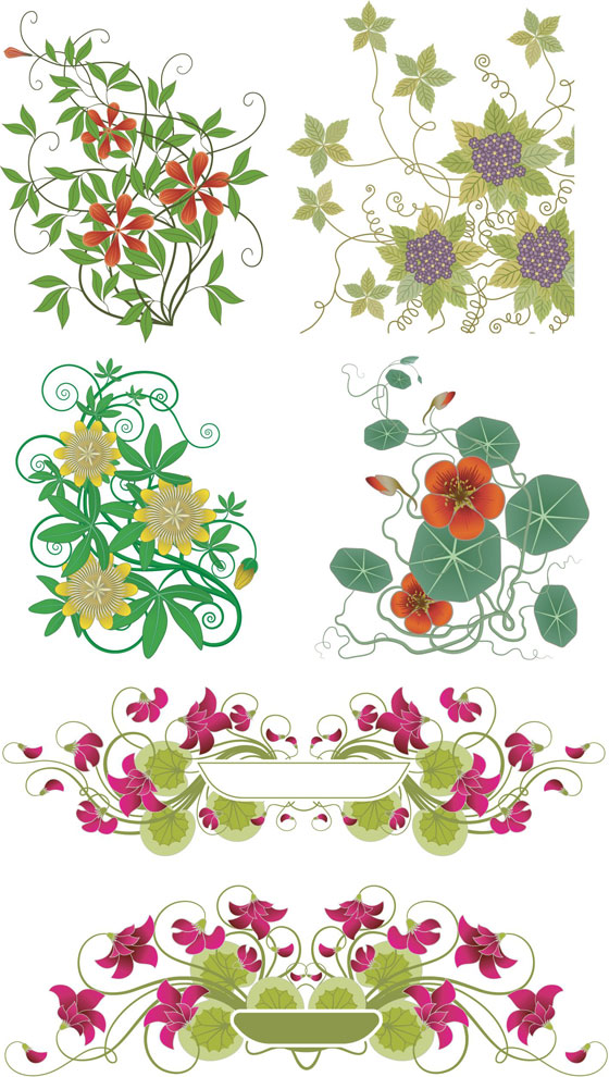 Plants Flower Vine Vector Graphics For Free Download Free Vector 560x990 Plants Flower Vine Vector Graphics For Free Download Free Vector