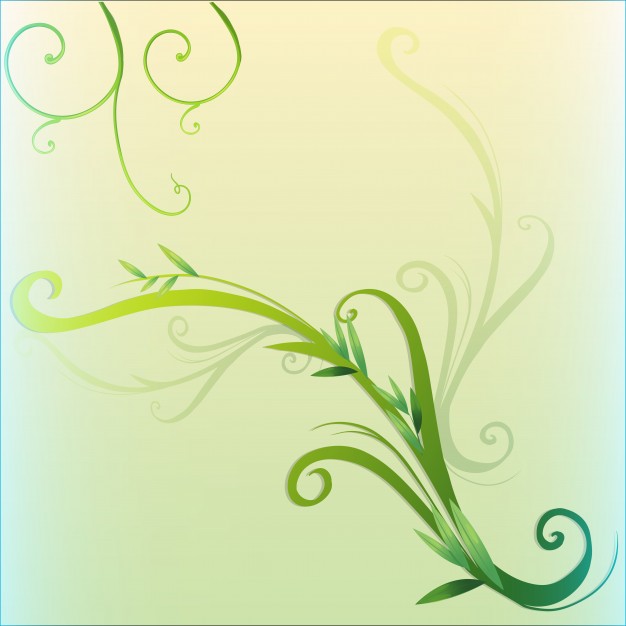 Vine Vectors, Photos And Free Download 626x626 Vine Vectors, Photos And Free Download
