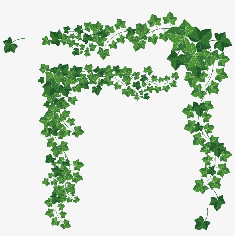 Vines Vector Decorative Material 820x824 Vines Vector Decorative Material