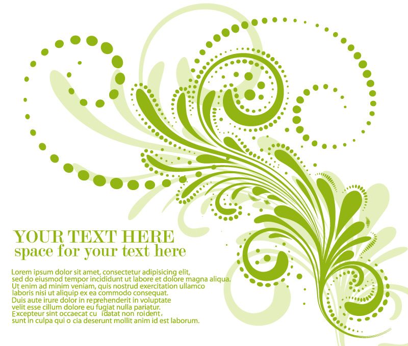 Flowering Vine Elegant Flower Vine Vector Free Download 800x679 Flowering Vine Elegant Flower Vine Vector Free Download
