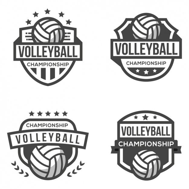 Free Volleyball Vector Art at Vectorified.com | Collection of Free ...