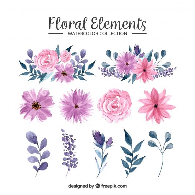 626x626 Watercolor Floral Element Collection Download Thousands Of Free