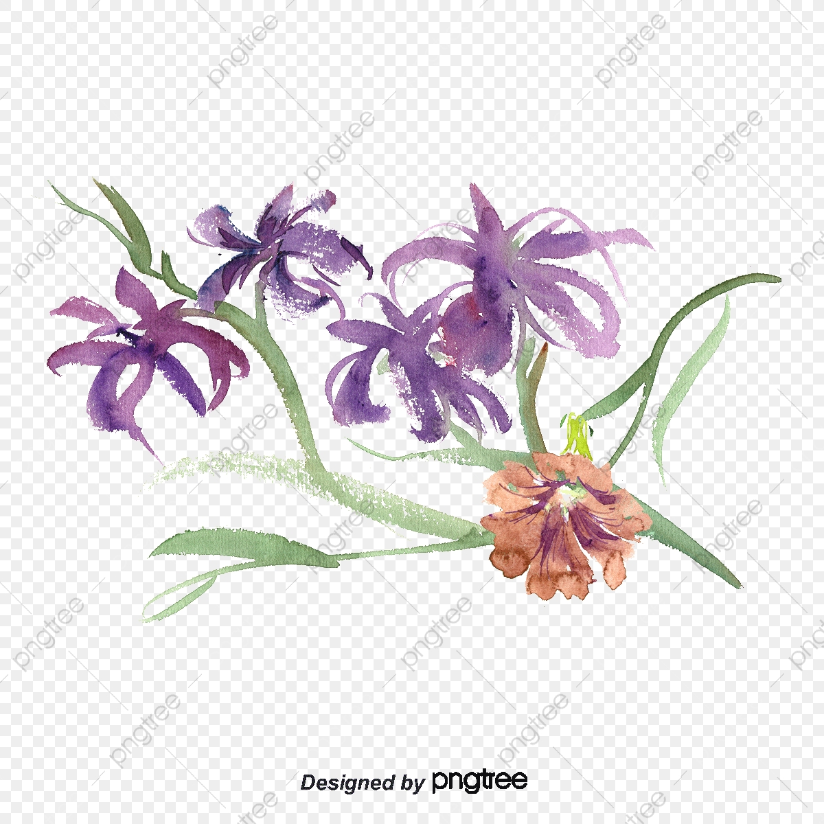 1200x1200 Amethyst Watercolor Floral Decoration Feather, Watercolor Vector