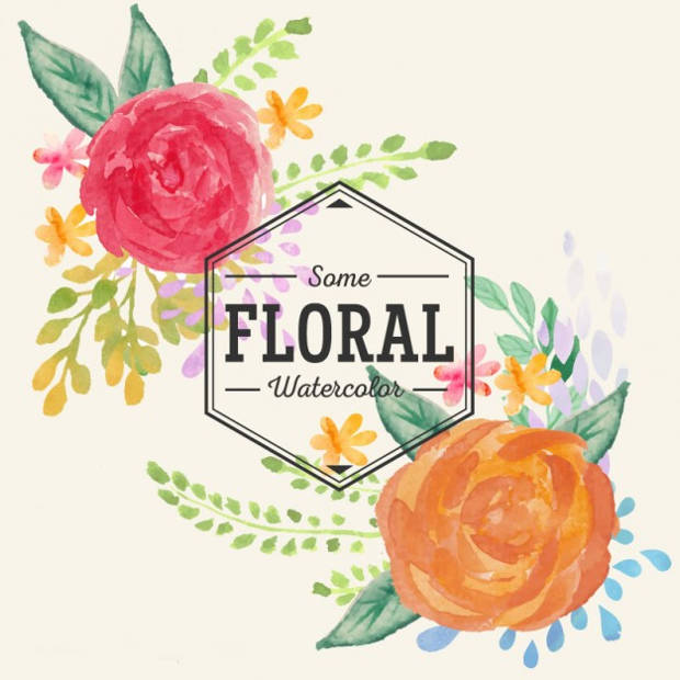 620x620 Flower Vectors