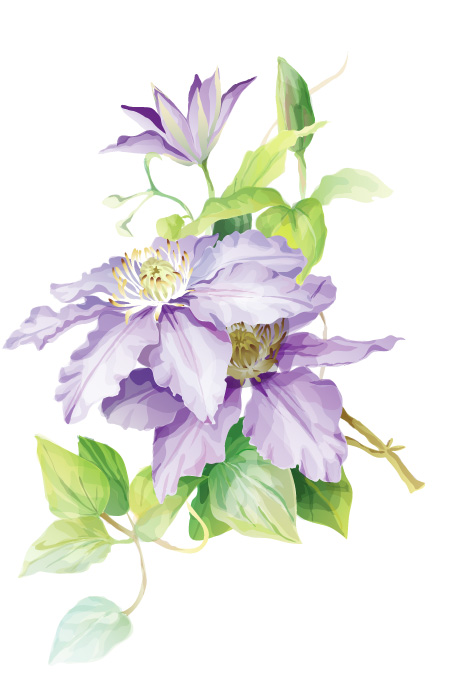 464x674 Elegant Watercolor Flowers
