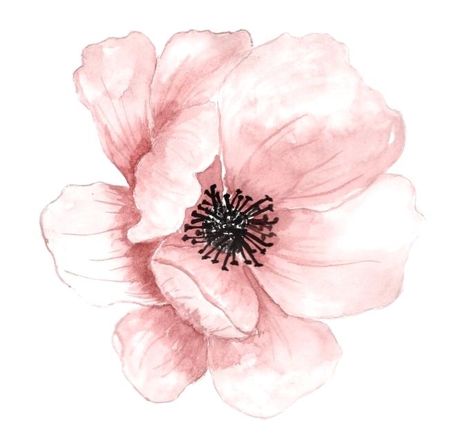 650x614 Free Watercolor Flowers Kobbicalutami Website