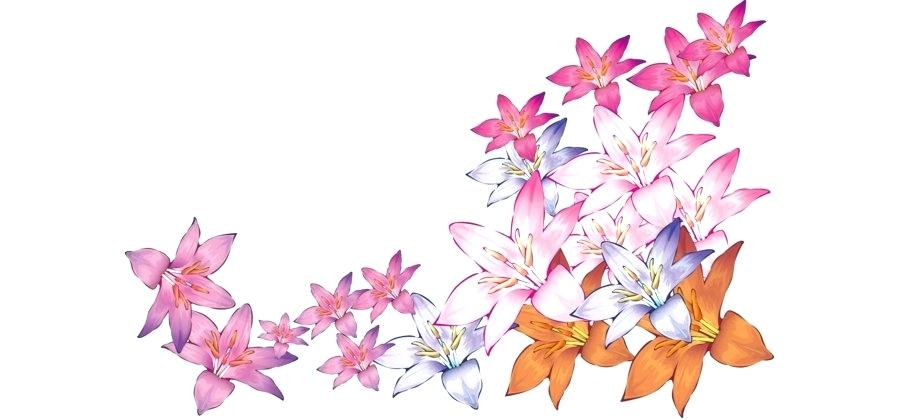 900x420 Watercolor Flowers Vector Free