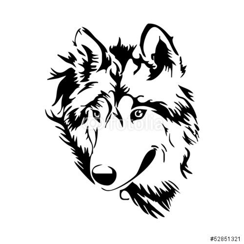 500x500 Vector Wolf Head Sketch Vector Wolf Stencil