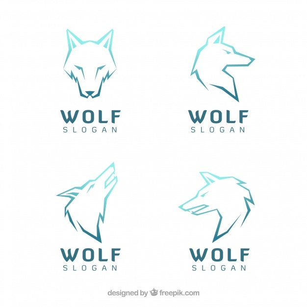 626x626 Wolf Vectors, Photos And Free Download