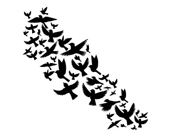 570x456 Freedom Clipart Png