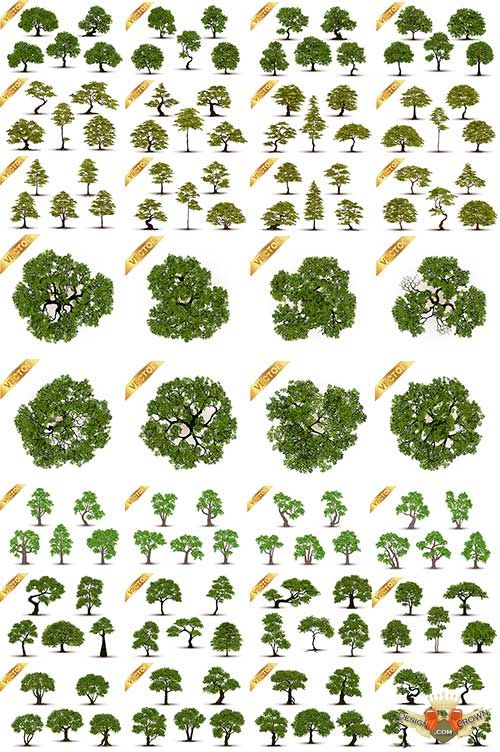 500x752 Trees In Vector Free Pics