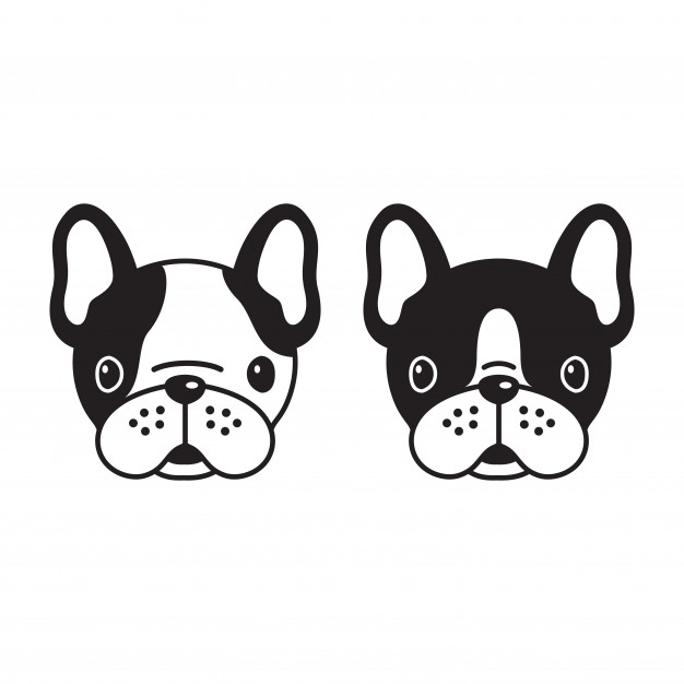 626x626 Dog French Bulldog Vector Cartoon Head Vector Premium Download
