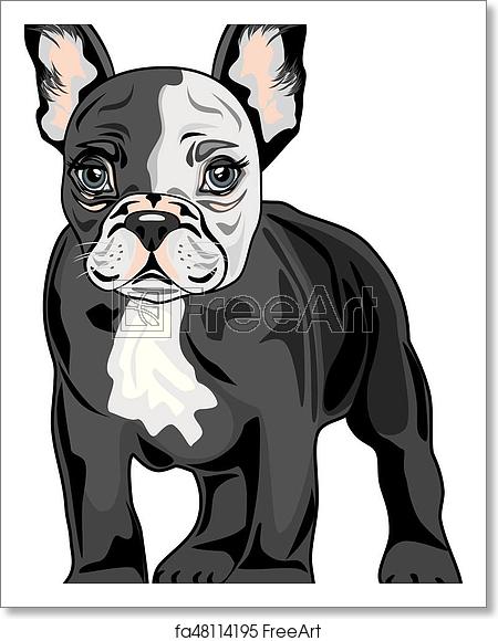 450x580 Free Art Print Of French Bulldog French Bulldog Vector