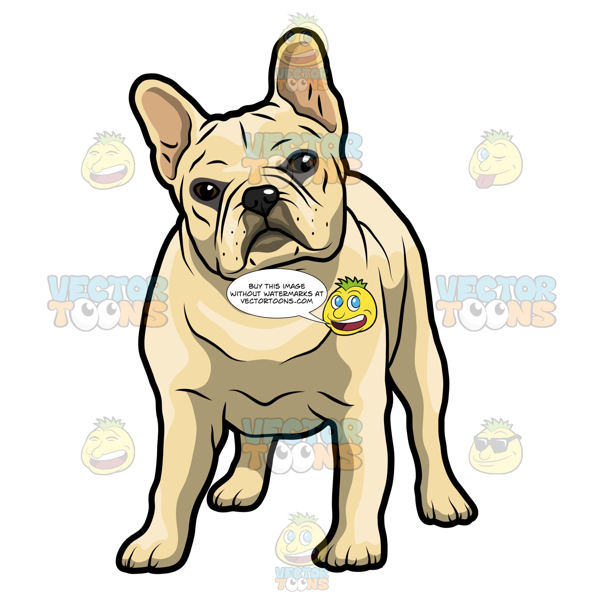 2000x2000 French Bulldog Standing On All Fours Clipart Cartoons