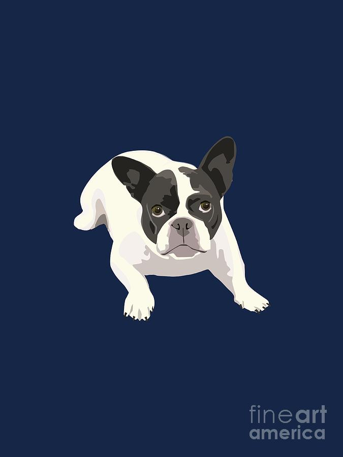 675x900 Black And White French Bulldog