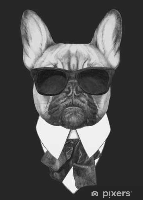 500x700 Hand Drawn Fashion Illustration Of French Bulldog Vector Isolated