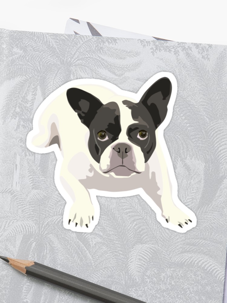 750x1000 Black And White French Bulldog