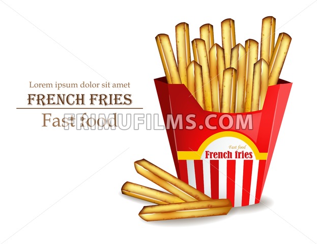 623x480 French Fries Vector Realistic Fast Food Template Detailed