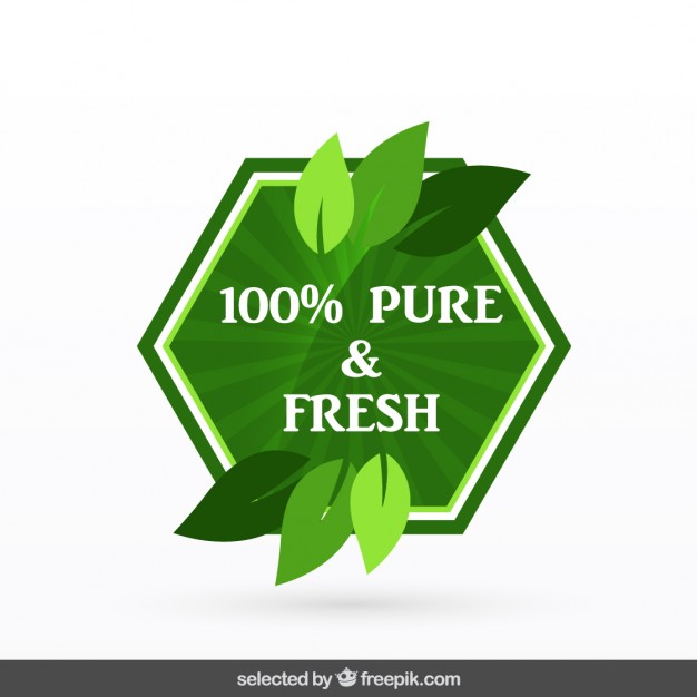 626x626 Pure Fresh Vector Free Download