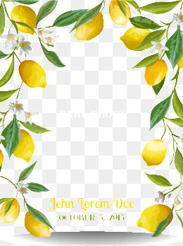 260x348 Fresh Lemon Border, Fresh Lemon, Illustration, Lemon Png