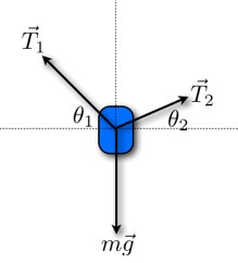 219x242 Lab Vectors And Friction Intro Physics Lab