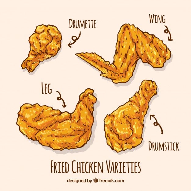 626x626 Variety Of Hand Drawn Fried Chicken Free Vector My Freepik