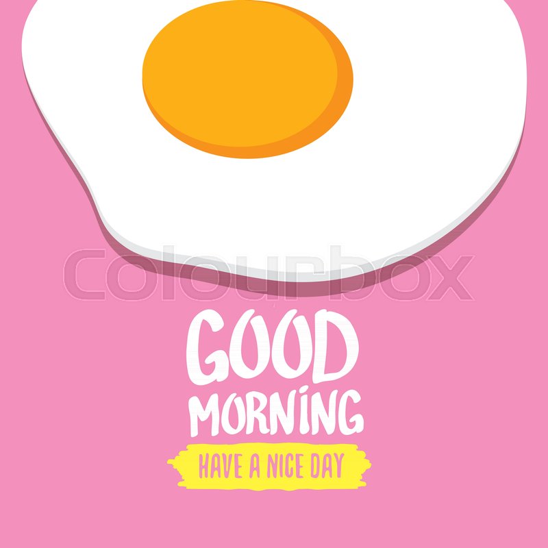 800x800 Fried Egg Vector Illustration Good Stock Vector Colourbox