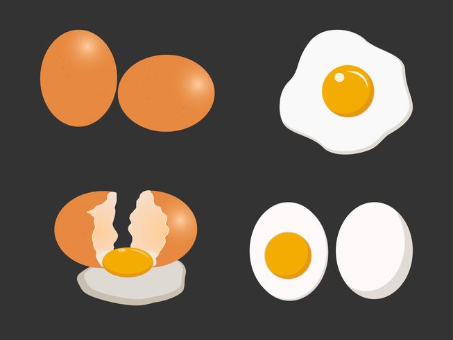 653x490 Egg Vector Set Isolated On White Background