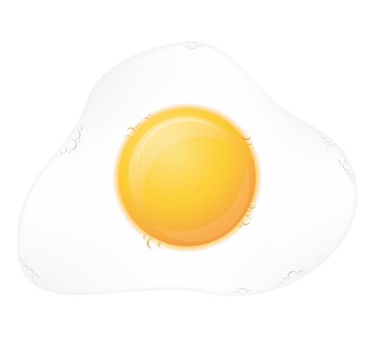 542x490 Fried Egg Vector Illustration