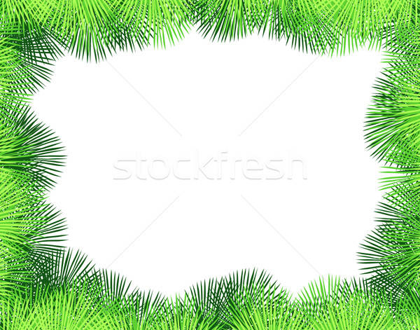 600x471 Palm Fringe Vector Illustration Robert Adrian Hillman