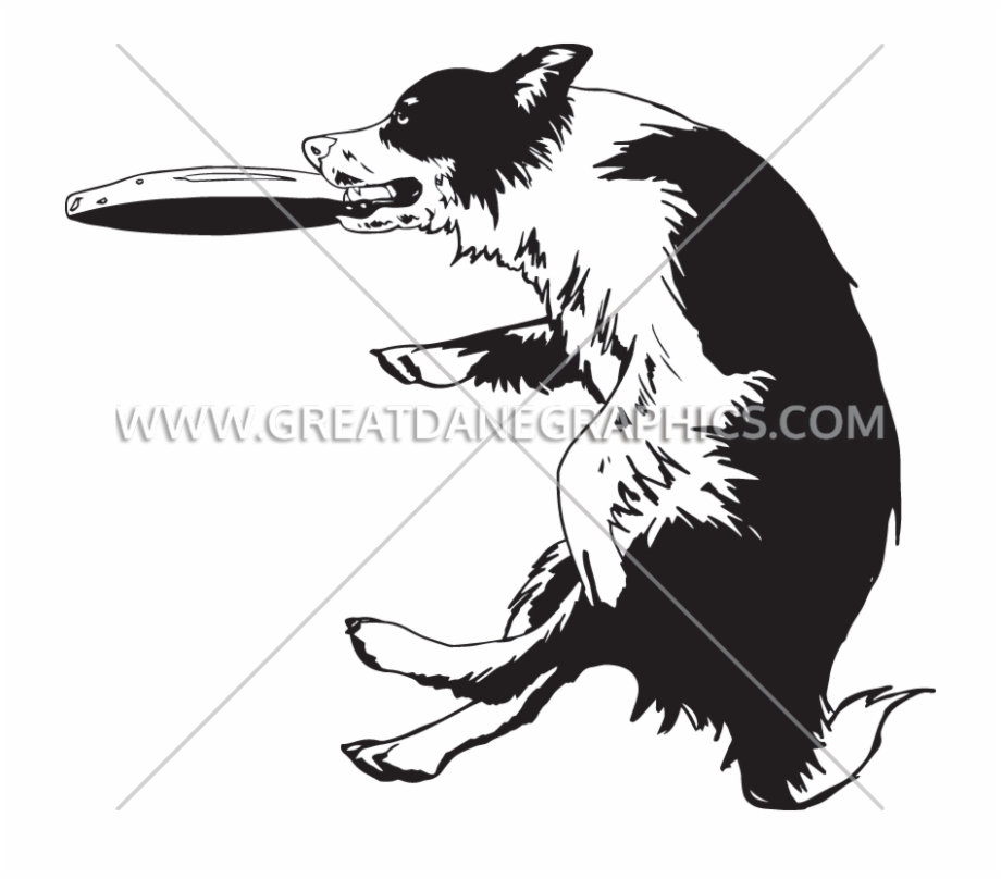920x808 Frisbee Vector Dog