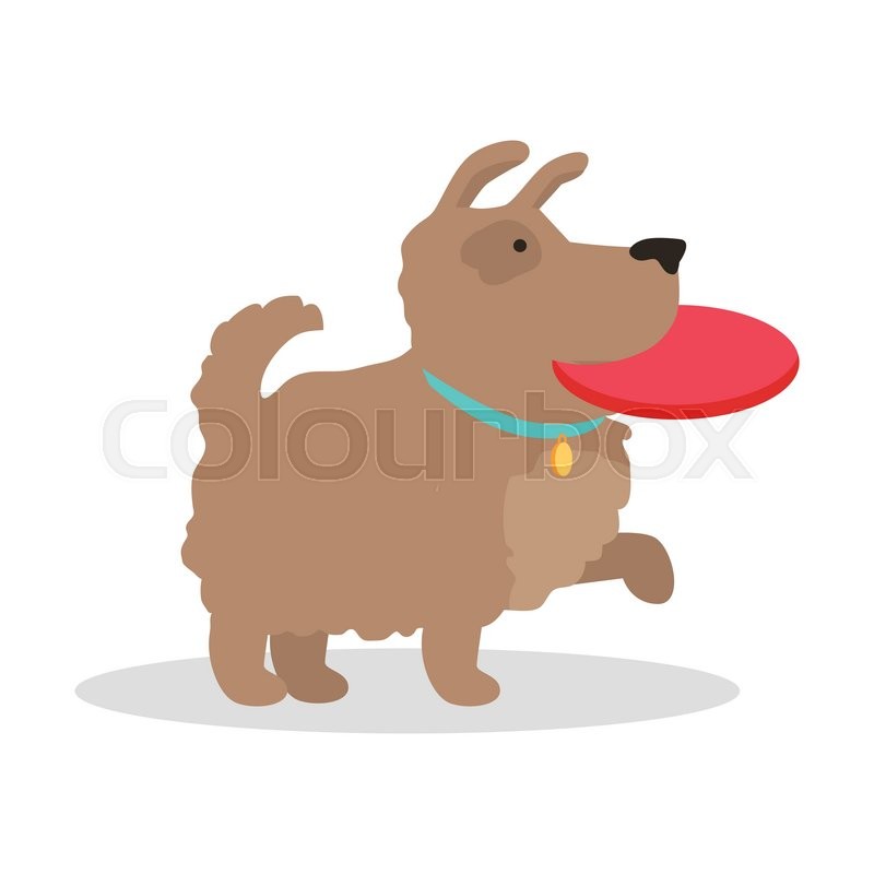 800x800 Dog With Frisbee Vector Illustration Stock Vector Colourbox