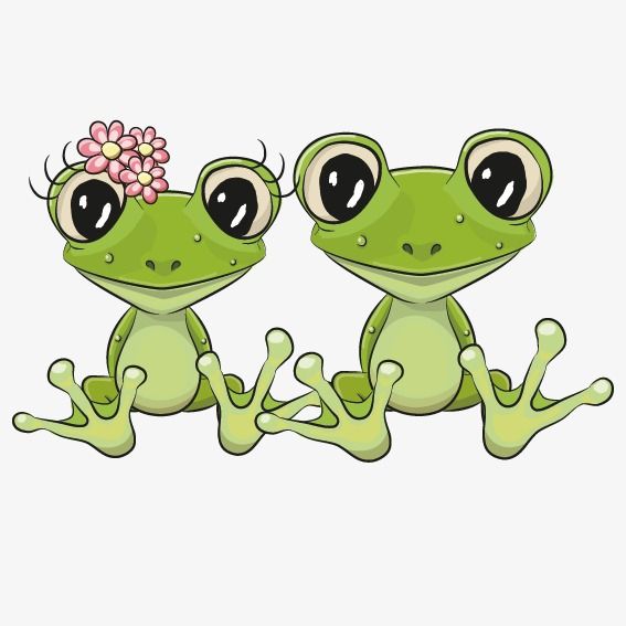 567x567 Frog Cartoon Couple, Frog Vector, Cartoon Vector, Couple Vector