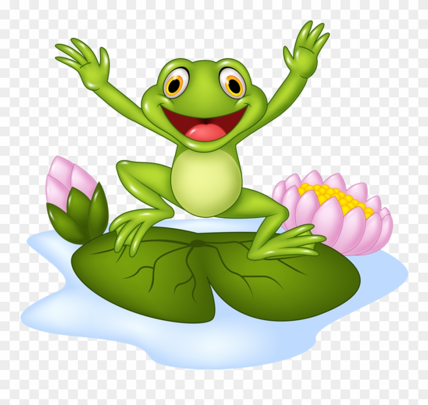 880x832 Frogs Clipart Vector