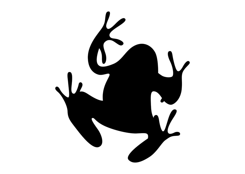 800x566 Frog Silhouette From Below