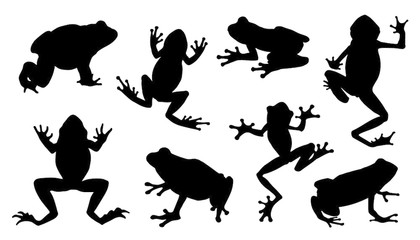 420x240 Frog Vector Photos, Royalty Free Images, Graphics, Vectors