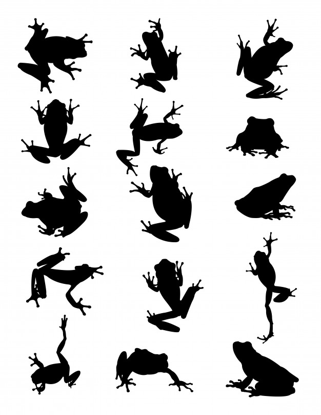 626x807 Frog Silhouette Vector Premium Download