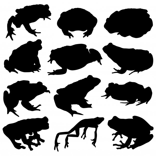 626x626 Frog Toad River Animal Clip Art Silhouette Vector Vector Premium