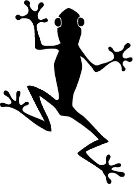 452x626 Frog Top View Image Vector Free Download